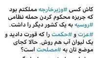 مهاجری: دیپلماسی نه، لوطی‌گری هم بلد نیستید؟