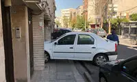 برای این موضوع دیگر به پلیس ۱۱۰ زنگ نزنید!