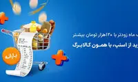 با اعتبار کالابرگ الکترونیک از اسنپ مارکت خرید کنید