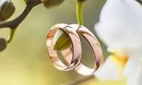 شوآف این نو عروس در فضای مجازی سوژه شد