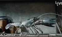 حشرات و موجودات مکانیکی حیرت انگیز!