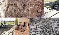 کشف اسکلت های دوران ساسانیان در شیراز