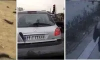 بازداشت عوامل ویدئو‌های باران بادمجان در تهران