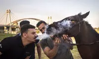 تصویری عجیب و پربازدید در شبکه‌های اجتماعی