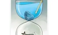 پشت‌پرده خشک‌شدن تالاب‌ها را ببینید!