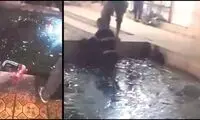 ماجرای تلخ سگ درمانی به جای روانکاوی!