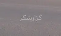 ⁣گرفتن توله شیر فراری در آزادراه قزوین