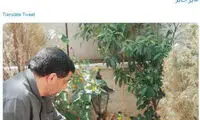 کنایه ضرغامی به روحانی با قصه «مار و شلنگ»!