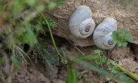 عکس: طبیعت زیبای قلعه علی بیگ