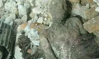 ادامه پیگیری برای مومیایی منتسب به «رضاخان»