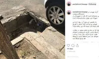توبیخ مدیرعامل شرکت پُست از سوی وزیر ارتباطات