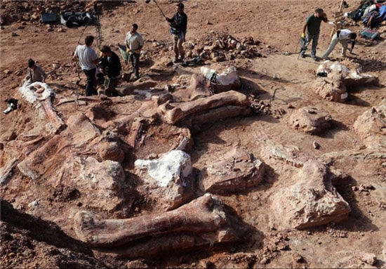 کشف بزرگترین دایناسور تاریخ با وزن 77 تن