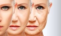 یک داروی تجربی توانست جلوی پیری را بگیرد