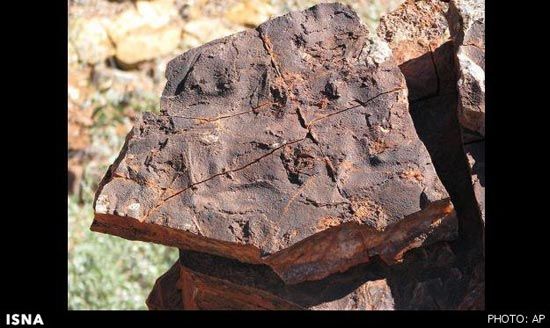 کشف قدیمی‌ترین فسیل جهان +عکس
