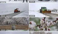 تصاویری از بارش برف بهاری در اهر
