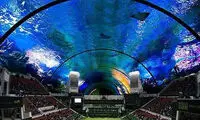 عجیب ترین ورزشگاه تنیس جهان +عکس