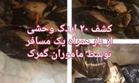 قاچاق اردک در گمرک شلمچه!
