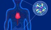 پارکینسون از تشکیل پروتئینی در روده آغاز می شود