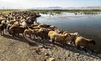 عکس: تالاب حسنلو و تالاب کانی برازان