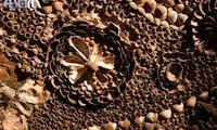 غار ساخته شده از ۴.۶ میلیون صدف +عکس