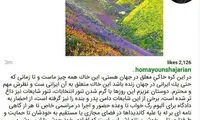 همایون شجریان به چه کسی رأی می دهد؟