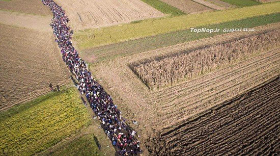 تصاویر هوایی از سیل عظیم مهاجران
