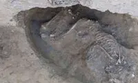 کشف اسکلت 5800 ساله انسان در شیراز