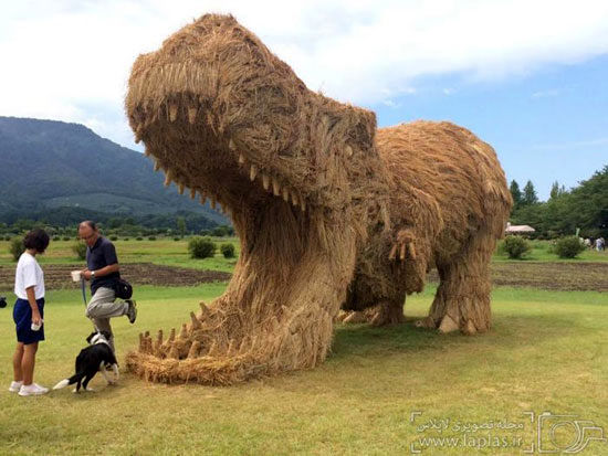 حمله مجسمه های غول آسا به مزرعه برنج
