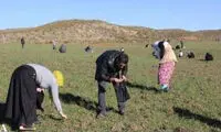 «شهاب سنگ» یک روستا را ثروتمند کرد!