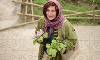 جایزه لبنانی‌ها به «بنفشه آفریقایی» با بازی معتمدآریا
