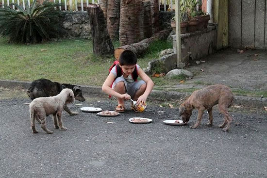 پسر 9 ساله ناجی حیوانات بی‌خانمان +عکس