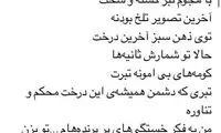 مهناز هم در ماجرای مهشید و ابی اعلام موضع کرد