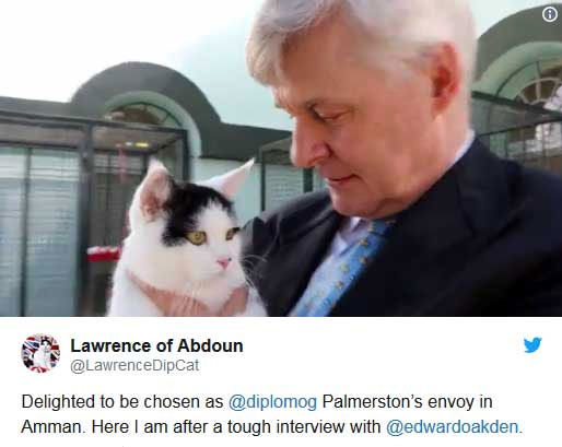 یک گربه به عنوان کارمند جدید سفارت بریتانیا
