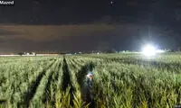 اگر مردی این ماز را حل کن! +عکس