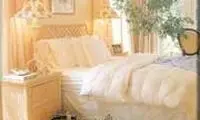 آرامش را تجربه کنید