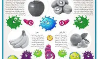 اینفوگرافی؛ میوه‌های ضد ویروس