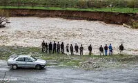 تماشای سیل، 5 خودرو را برد