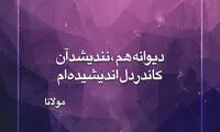 مینی شعر (288)