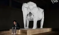 شاهکارهای بی نظیر و باورنکردنی با اریگامی