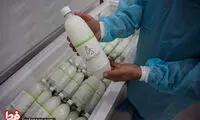 کارخانه‌ای که شیر الاغ می‌فروشد