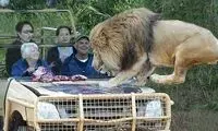 با این عکس ها مو بر تن شما سیخ می شود
