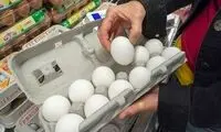 تخم‌مرغ در برخی استان‌ها کمیاب شد