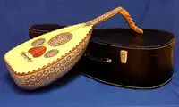 تجدید حیات «عود» در موسیقی ایران