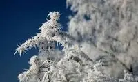 یخبندان سیبریایی در این منطقه از ایران رخ داد!