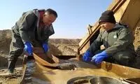 فعالیت چینی‌ها در معادن طلای ایران