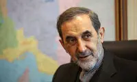 واکنش ولایتی به درخواست دستگیری‌اش در روسیه
