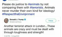 واکنش «کاوه مدنی» به توئیت «ترامپ»