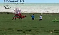 پنجمین‫ گزارش پایداری ایرانسل منتشر شد