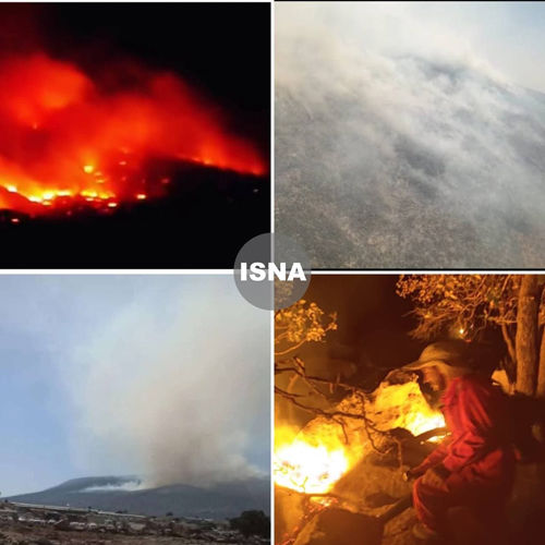 تصاویری از آتش‌سوزی در جنگل‌های «نیر»