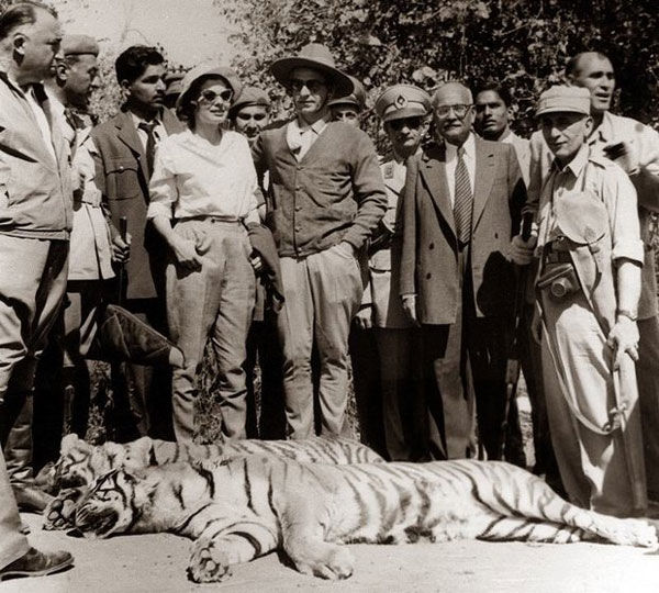 شکار ببر در هند توسط محمدرضا پهلوی